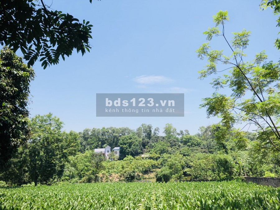 Chính chủ bán đất Xã Thành Lập - Lương Sơn - Hòa Bình
