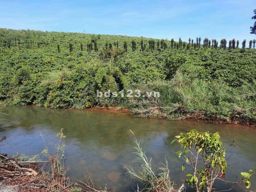 Đất view sông Đại Nga dt 555m2 (10X55m), đường nhựa 8m, cách Bảo Lộc 7km, giá 900 triệu