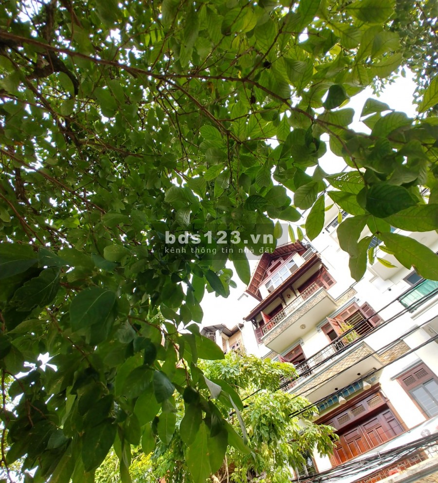 Trịnh Công Sơn, 84mX7mMT, View Hồ. Kinh doanh, văn phòng.. Giá 34 tỷ.