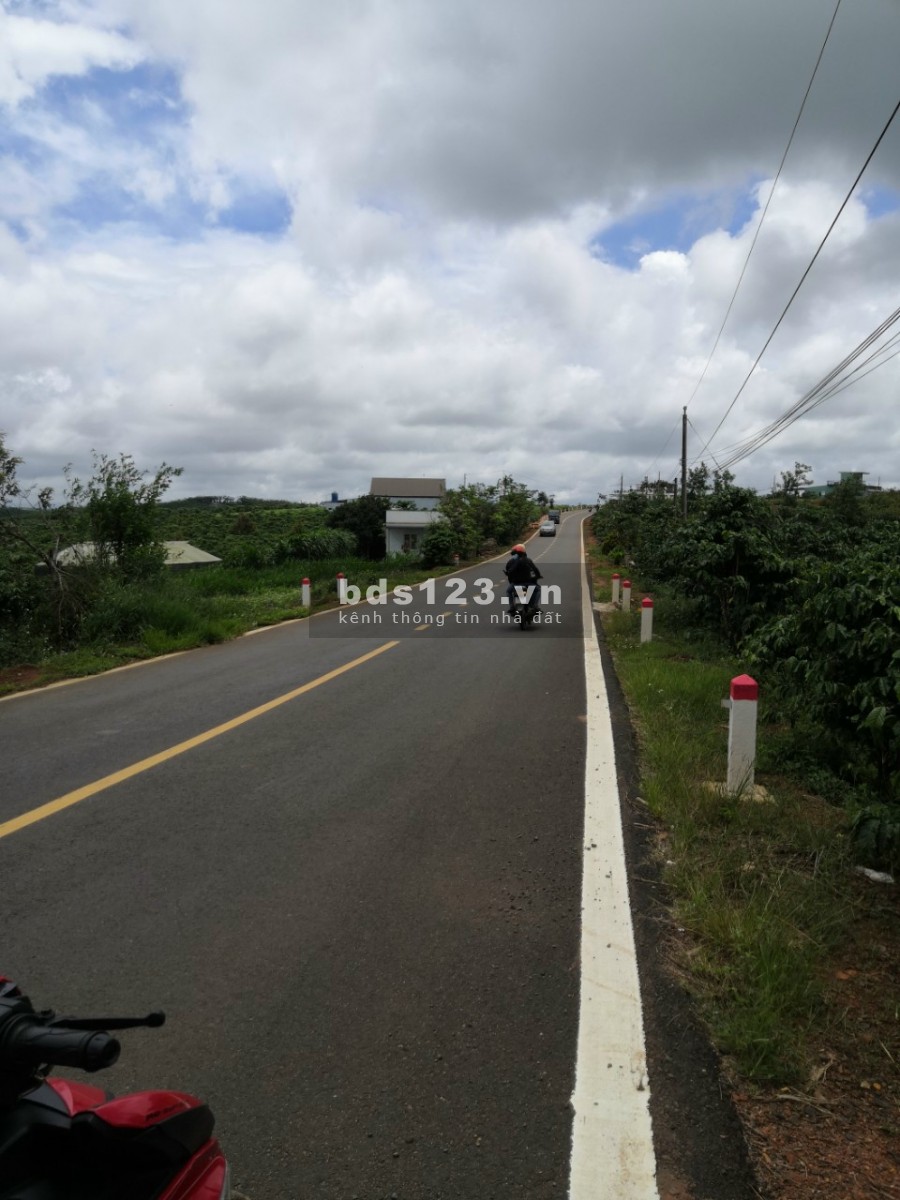 Đất view sông Đại Nga dt 555m2 (10X55m), đường nhựa 8m, cách Bảo Lộc 7km, giá 900 triệu