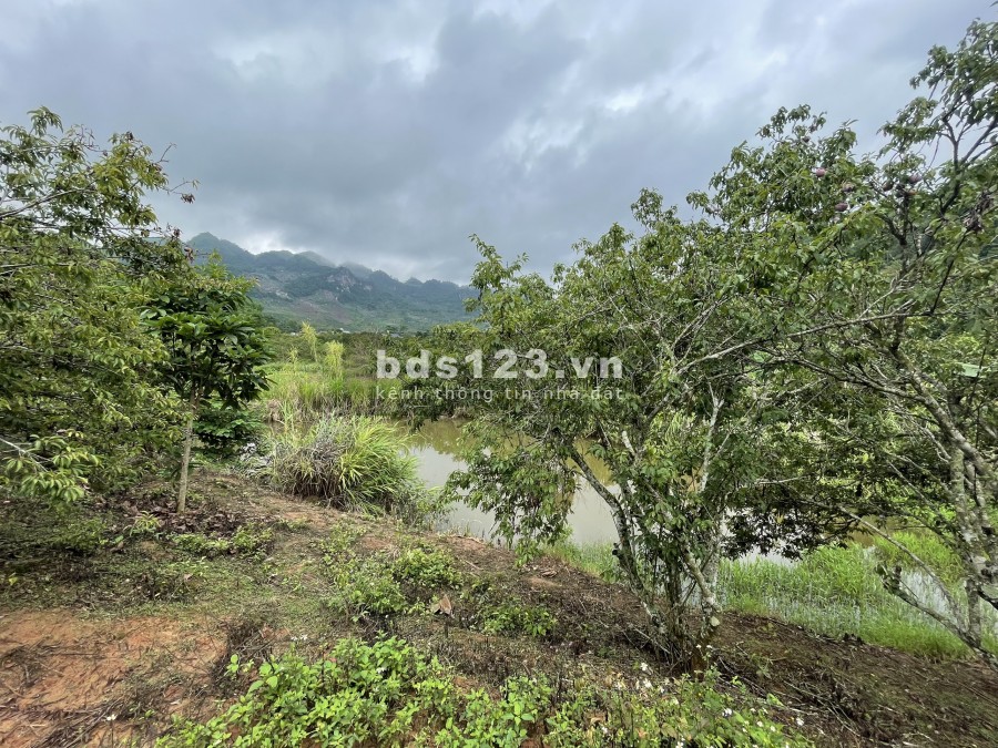 Bán đất Mộc Châu 6200m đất thoải có nước chảy quanh view nhìn ra ruộng lúa và đường to 31m. 0822356688
