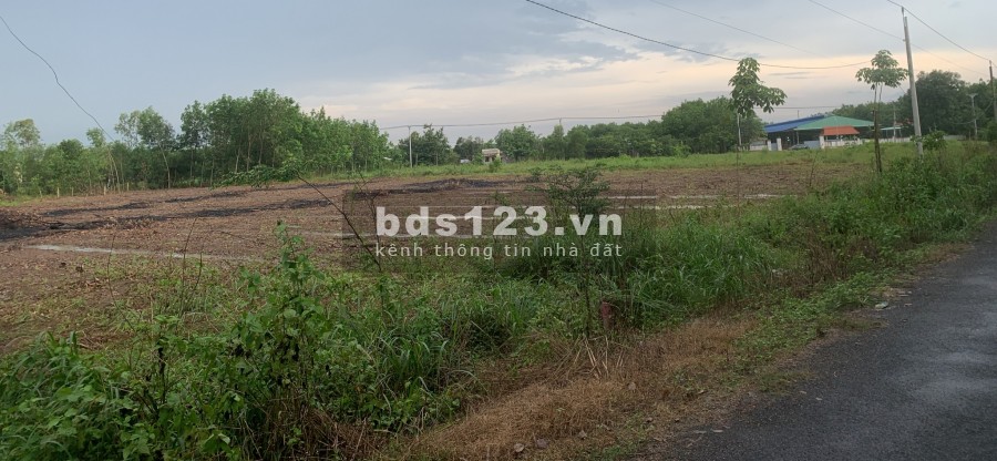Sang nhương gấp 1 lô 1000m2 cuối cùng thuộc xã Tân Hưng huyện Đồng Phú giá chỉ 6××Triệu