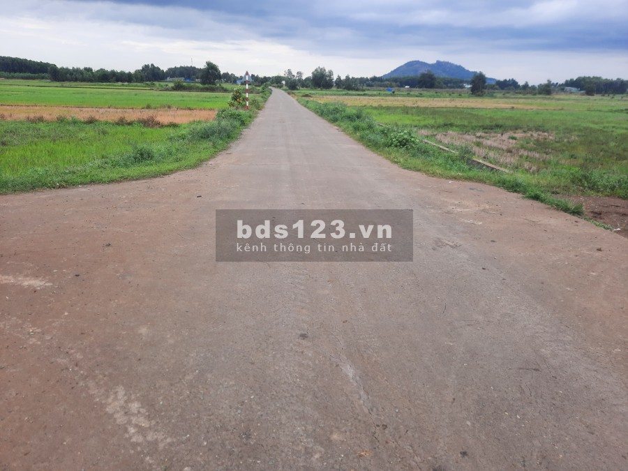 Mẹ tôi muốn bán gấp xào đất ở Châu Pha- Bà rịa- Vũng Tàu, giá bán 1.2 tỷ, lhcc