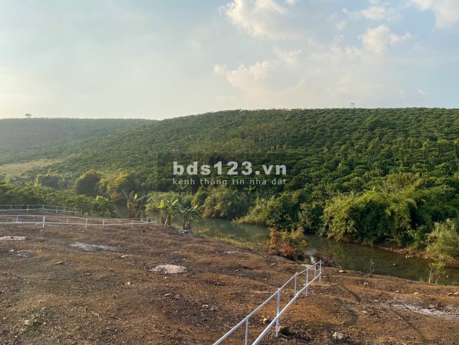 Đất view sông Đại Nga dt 555m2 (10X55m), đường nhựa 8m, cách Bảo Lộc 7km, giá 900 triệu