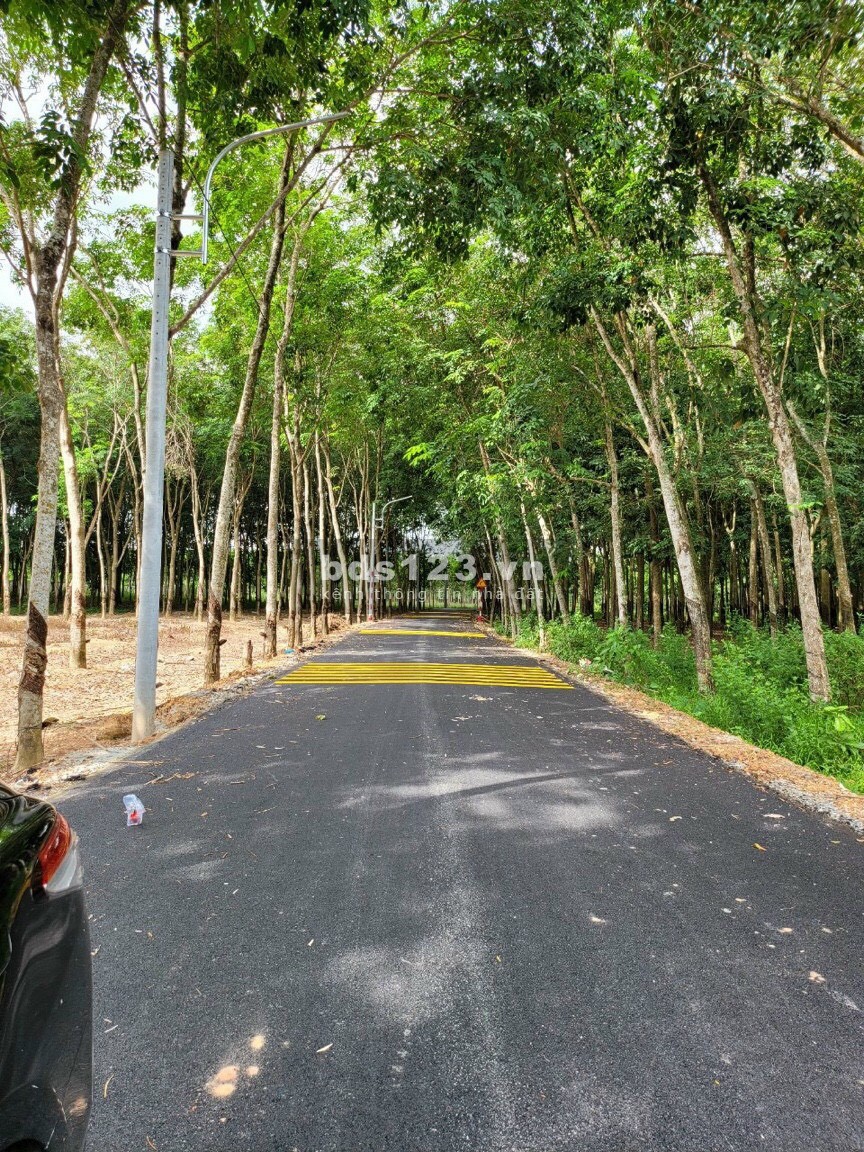 Bán Đất Trung Tâm Thị Xã Bình Long , Bình Phước Đường Nhựa