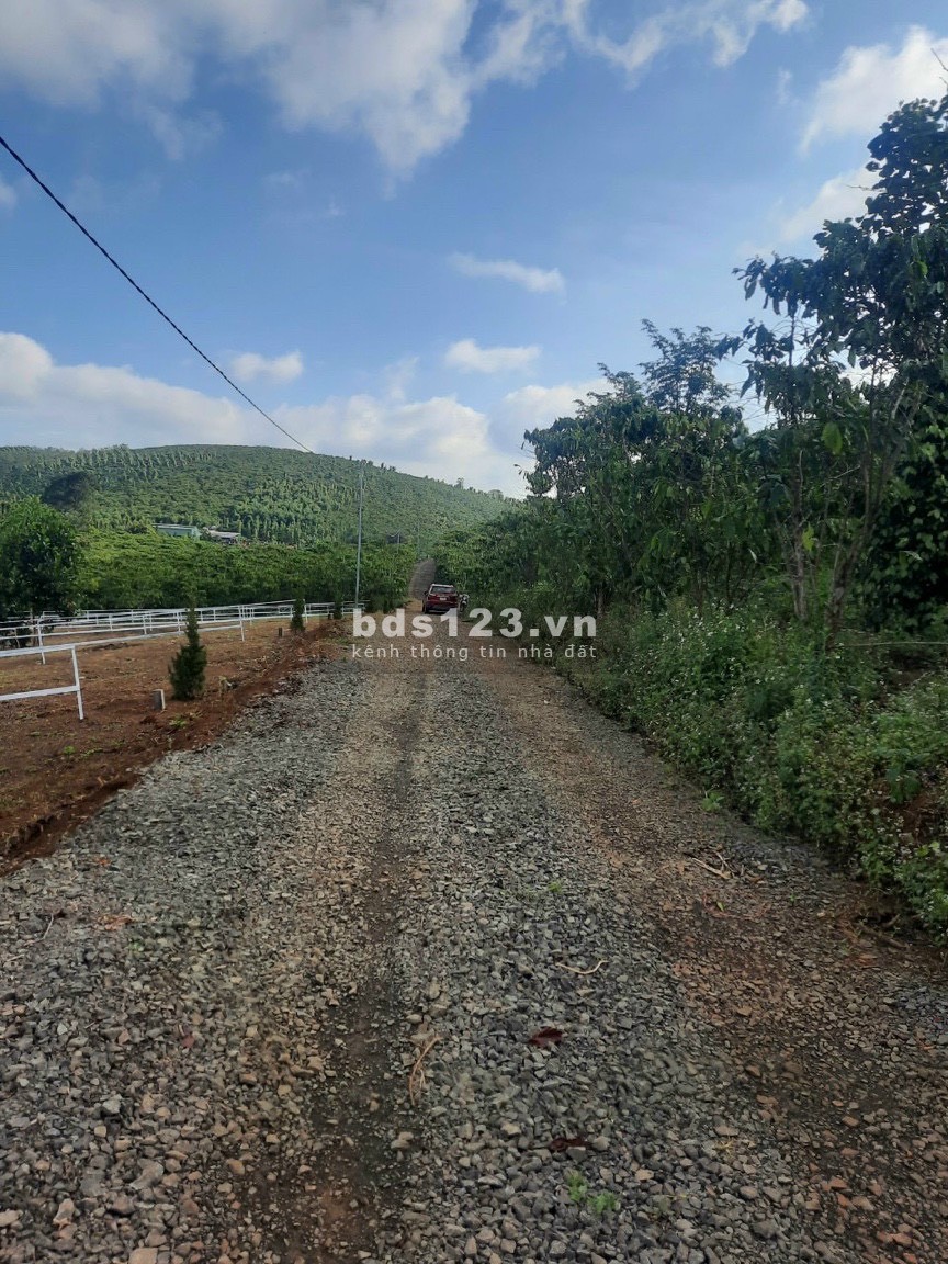 Đất view sông Đại Nga dt 555m2 (10X55m), đường nhựa 8m, cách Bảo Lộc 7km, giá 900 triệu