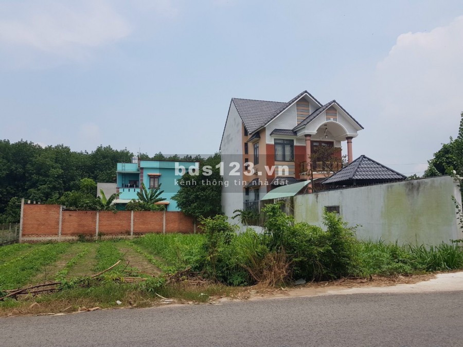 Gia đình cần tiền trả nợ cần bán trọ đang kinh doanh ổn định ngay Khu Đô Thị và Công Nghiệp Mỹ Phước 3.