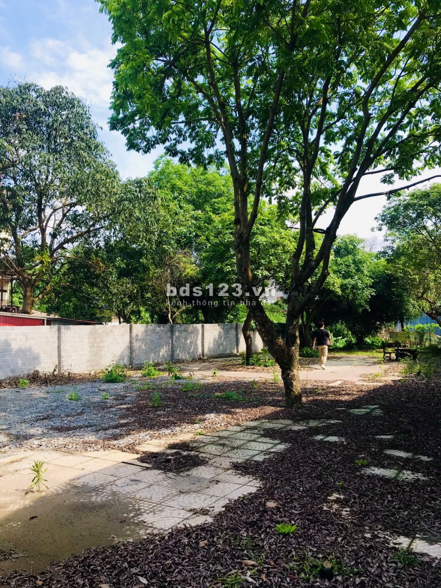 Mở bán Siêu phẩm Kinh doanh buôn bán tuyệt đỉnh Thuỷ Xuân Tiên, Chương Mỹ, Hà Nội