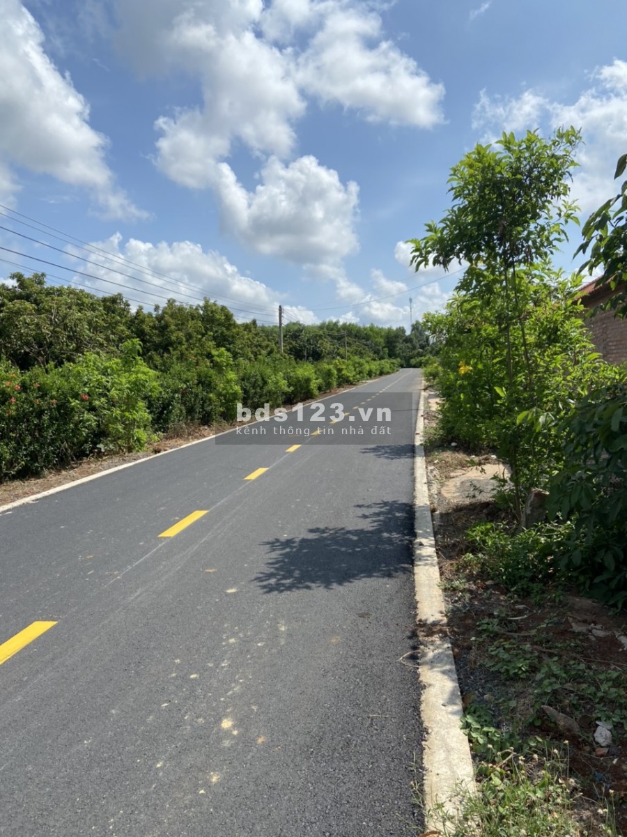 Bán đất chính chủ tại xã Long Tân Đất Đỏ Bà Rịa Vũng Tàu 0938362355