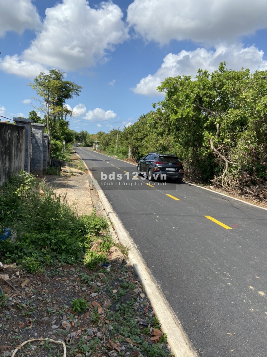 Bán đất chính chủ tại xã Long Tân Đất Đỏ Bà Rịa Vũng Tàu 0938362355