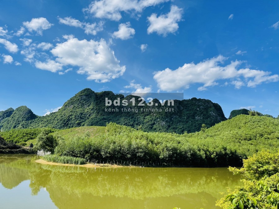 Chính chủ cần chuyển nhượng lô đất rsx tại Kim Bôi Hòa Bình, lh 0377636889