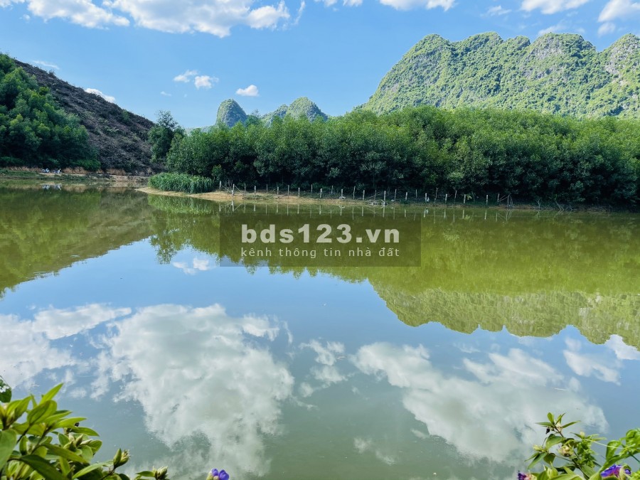 Chính chủ cần chuyển nhượng lô đất rsx tại Kim Bôi Hòa Bình, lh 0377636889