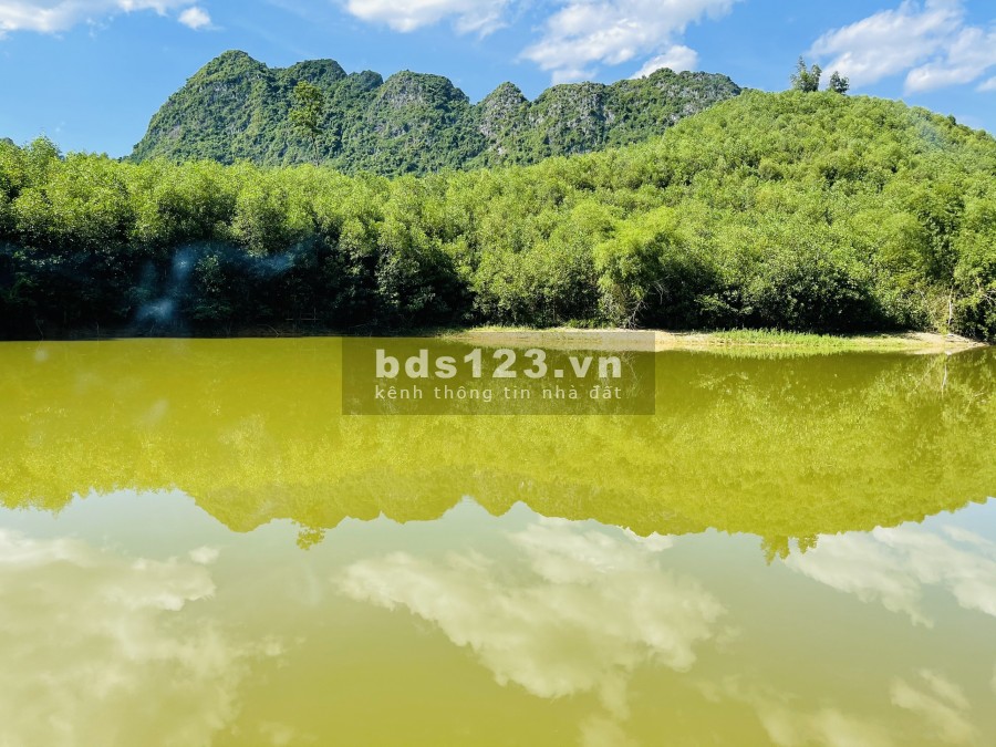 Chính chủ cần chuyển nhượng lô đất rsx tại Kim Bôi Hòa Bình, lh 0377636889
