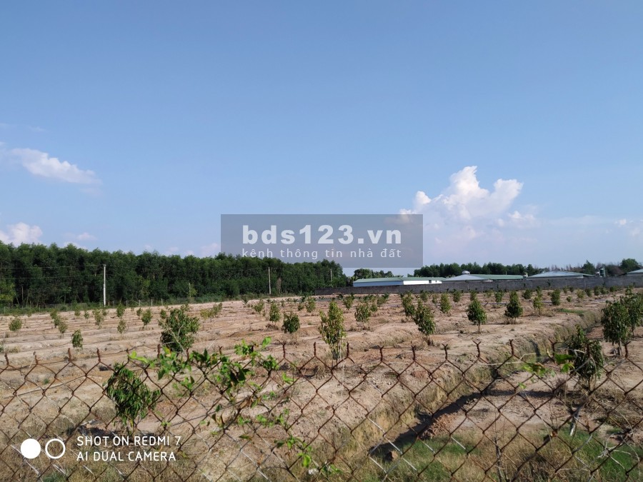 Cần bán 31 hecta đất đầu tư huyện Tân Phú Đồng nai, lh 0908113093