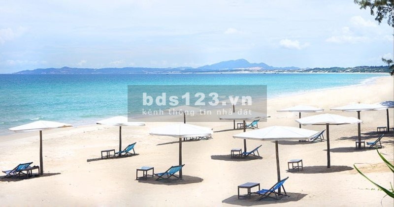 Đất biển sở hữu lâu dài, view đẹp giá tốt - goldenbay 602