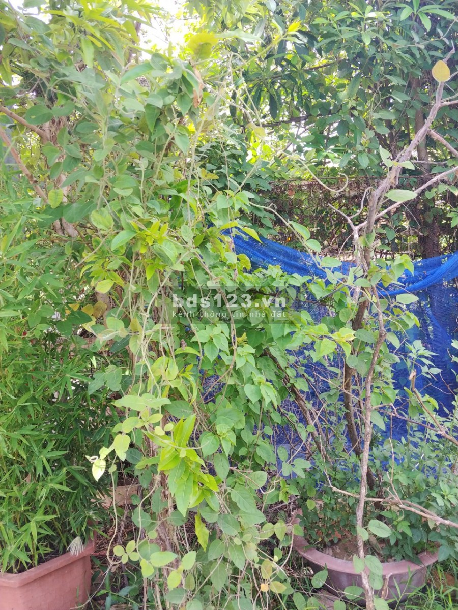 Đất vàng Âu Cơ, diện tích 74m2, mt 4.7m, nở hậu. ngõ Thông. Giá 5 tỷ