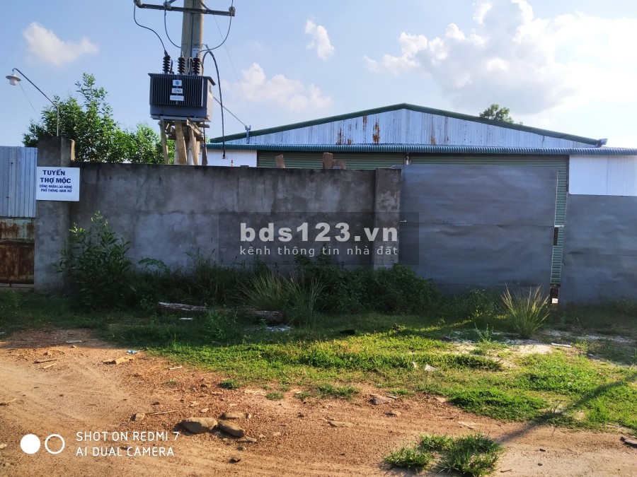 Cần bán 31 hecta đất đầu tư huyện Tân Phú Đồng nai, lh 0908113093