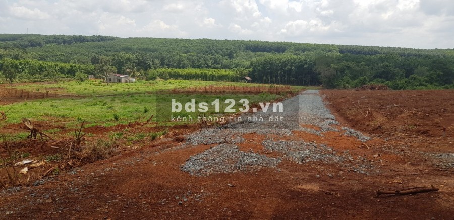 Đất Bình Phước Giá Rẻ Nhất khu vực, giá 385 triệu, lh 0949475919