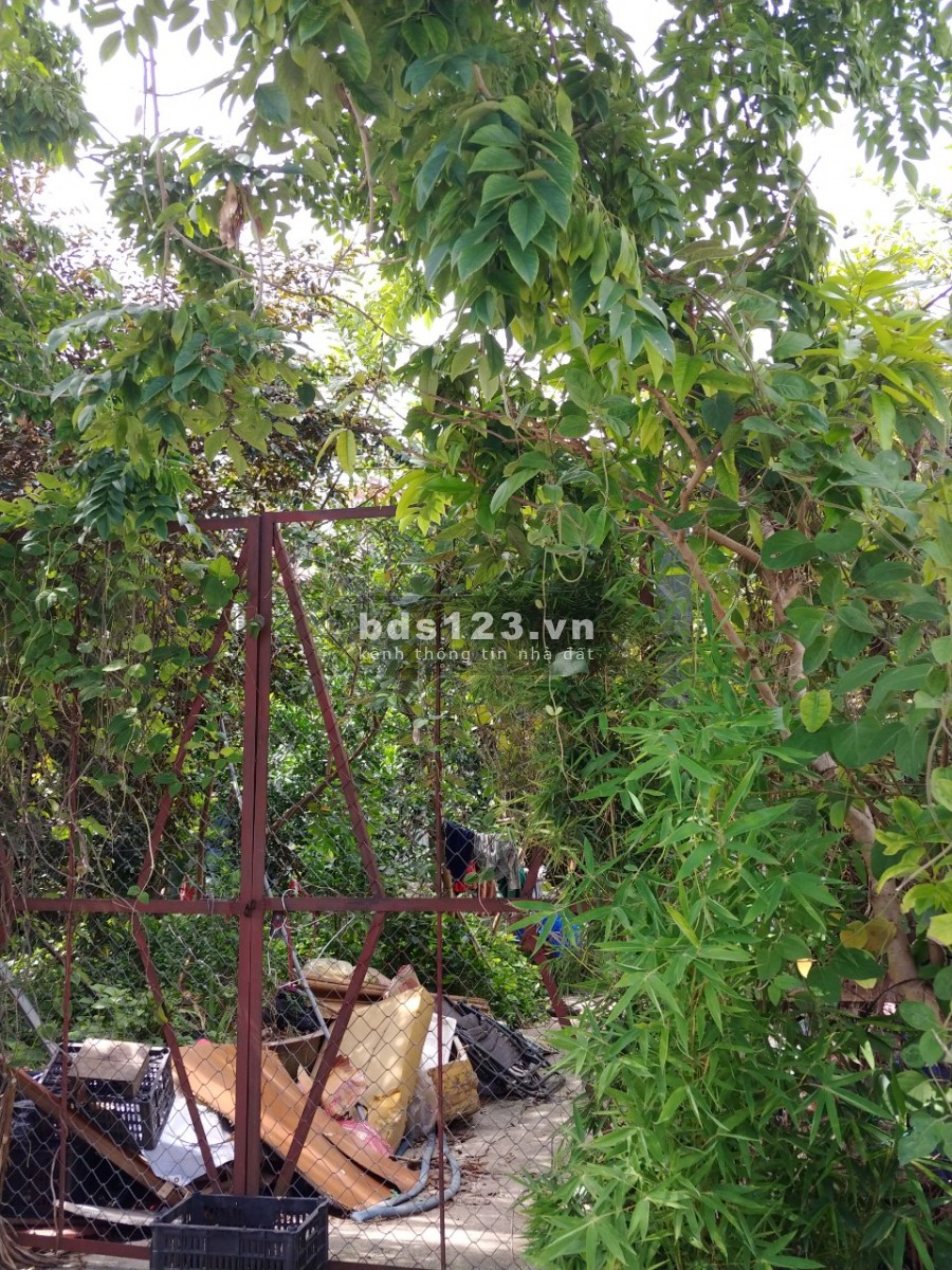Đất vàng Âu Cơ, diện tích 74m2, mt 4.7m, nở hậu. ngõ Thông. Giá 5 tỷ