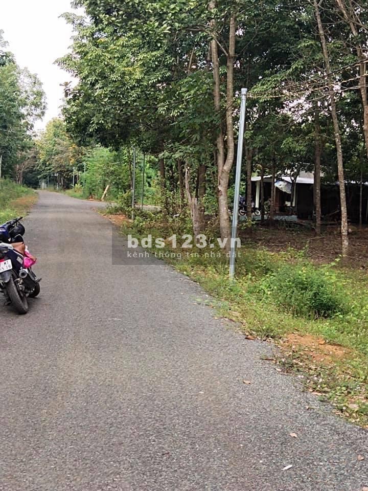 Bán đất giá rẻ, bán phá giá do Covid 19, đường nhựa, điện, dân tại Bình Phước