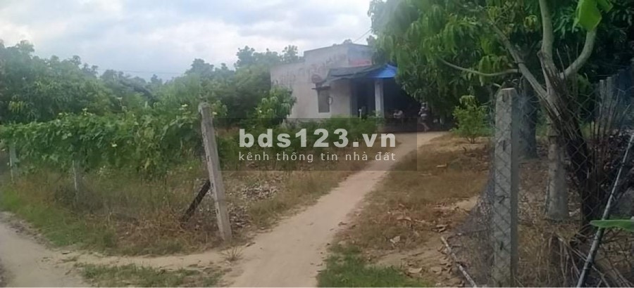 LÔ ĐẤT THỔ CƯ MẶT TIỀN ĐƯỜNG TRÁNH QL1A - GIÁ ĐẦU TƯ F0
