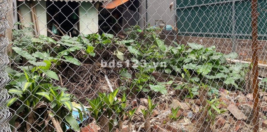 Đất vàng Âu Cơ, diện tích 74m2, mt 4.7m, nở hậu. ngõ Thông. Giá 5 tỷ