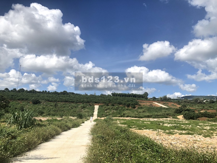 Dành cho quý anh chị đầu tư giá rẻ ven Đà Lạt, ngay trung tâm Đông Thanh