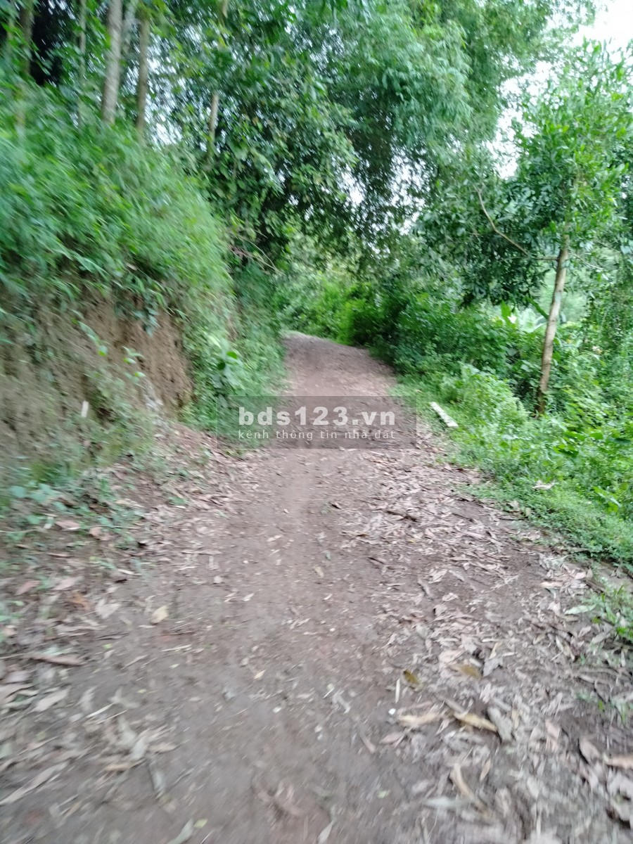 Cần bán 2,6 Ha đất rừng sx, Tân Thành Lương Sơn, lhcc, giá hợp lí