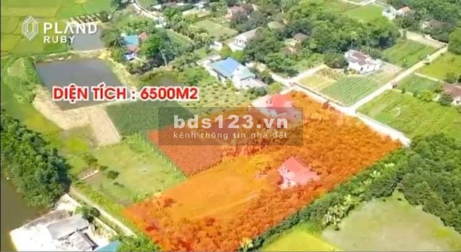 Cơ hội vàng sở hữu bất động sản cùng Pland Ruby Triệu Sơn, chỉ từ 270 triệu