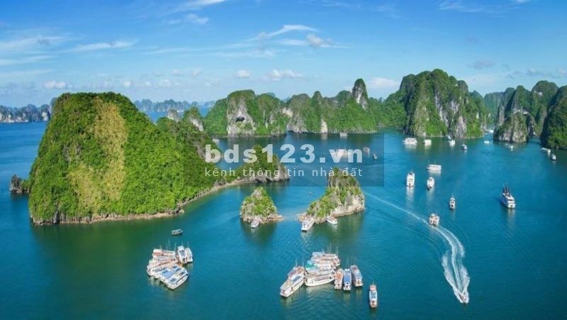Ra mắt tòa B Sun Marina Hạ Long, giá gốc chủ đầu tư, ưu tiên đặt chỗ quỹ căn độc quyền