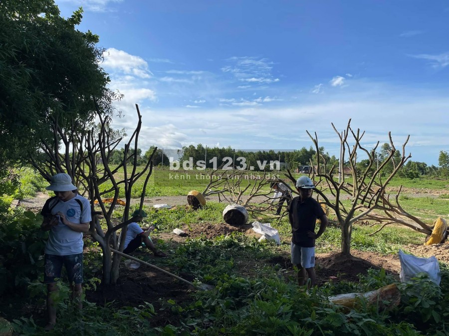Bán gấp lô 160m2 tc 100m, đã bao tường xung quanh, 2 mặt tiền đường bê tông. SHR bao sang tên trong 1 tuần