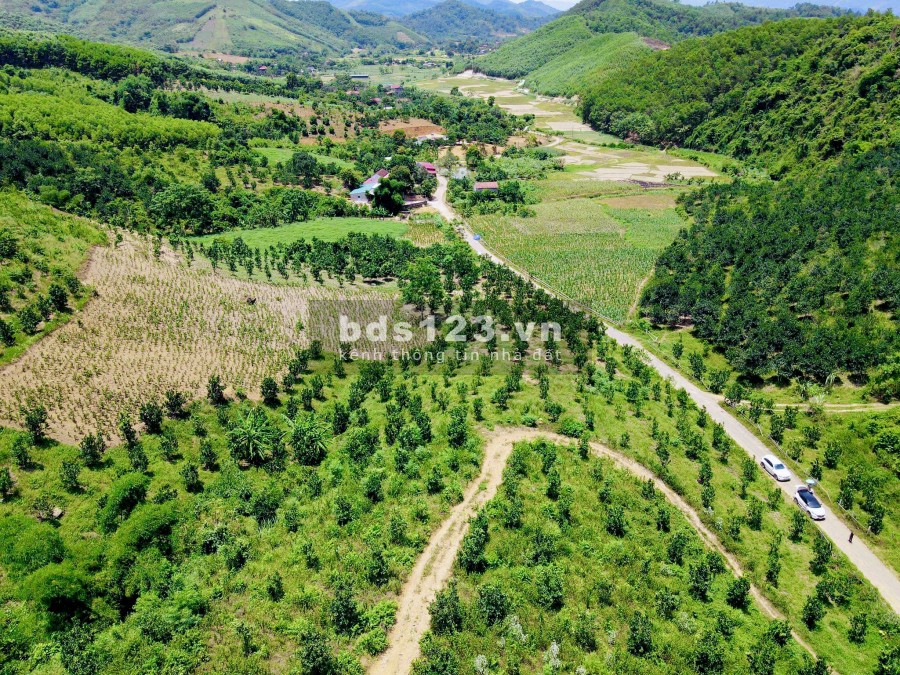 Bán 10 ha đồi Lương Sơn, Hoà Bình giá cực rẻ, lh 0372729191