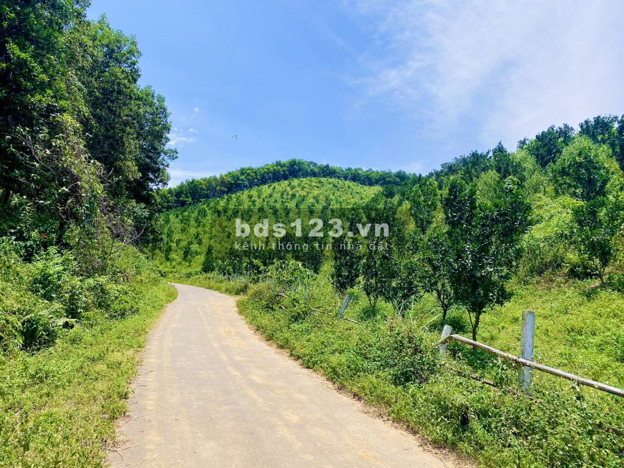 Bán 10 ha đồi Lương Sơn, Hoà Bình giá cực rẻ, lh 0372729191