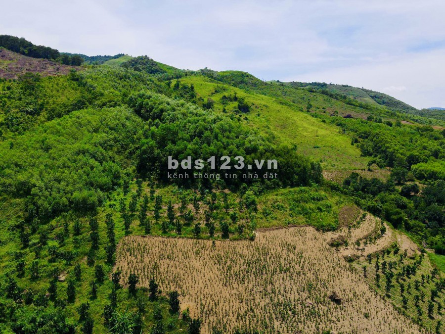 Bán 10 ha đồi Lương Sơn, Hoà Bình giá cực rẻ, lh 0372729191