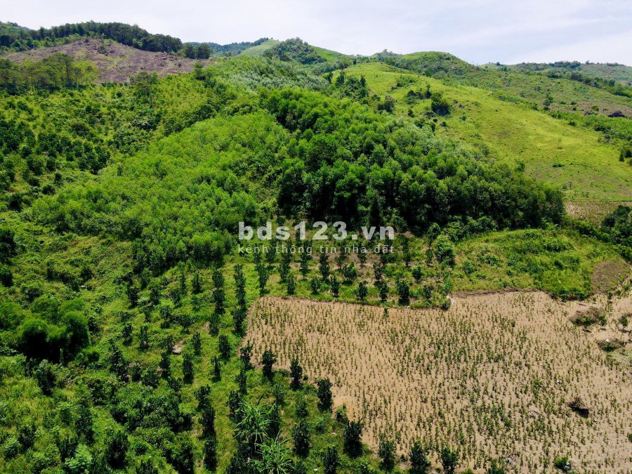 Bán 10 ha đồi Lương Sơn, Hoà Bình giá cực rẻ, lh 0372729191