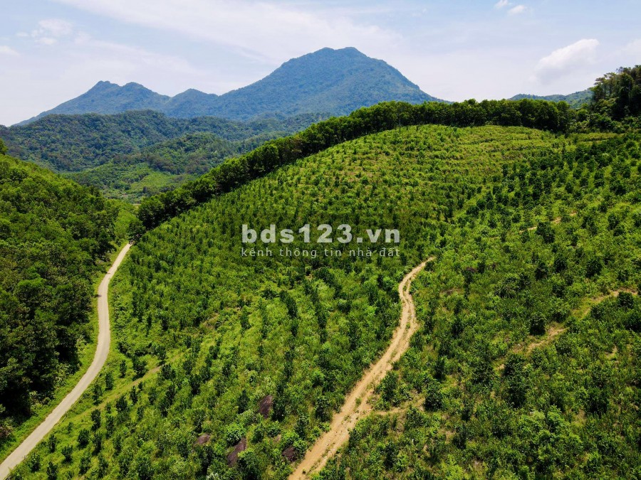 Bán 10 ha đồi Lương Sơn, Hoà Bình giá cực rẻ, lh 0372729191