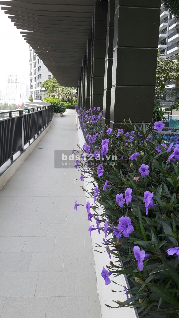 Cần bán gấp căn hộ giá rẻ thuộc Quận 7 Thành Phố Hồ Chí Minh