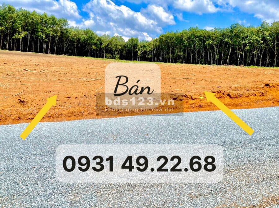 Chuyển về Hà Nội, gia đình bán lại miếng đất vườn dt 8000m2 cạnh kcn Việt-Hàn, giá 170 triệu