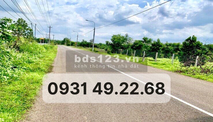 Chuyển về Hà Nội, gia đình bán lại miếng đất vườn dt 8000m2 cạnh kcn Việt-Hàn, giá 170 triệu