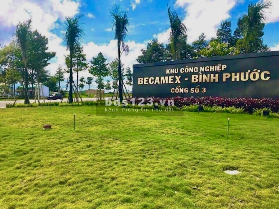 Chuyển về Hà Nội, gia đình bán lại miếng đất vườn dt 8000m2 cạnh kcn Việt-Hàn, giá 170 triệu