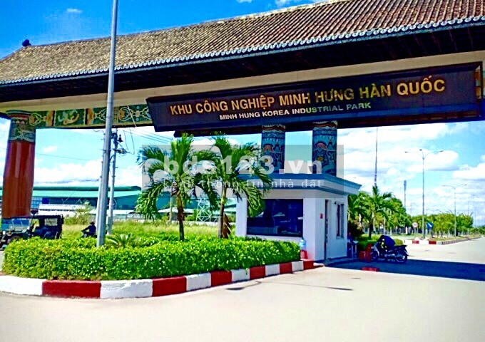 Chuyển về Hà Nội, gia đình bán lại miếng đất vườn dt 8000m2 cạnh kcn Việt-Hàn, giá 170 triệu