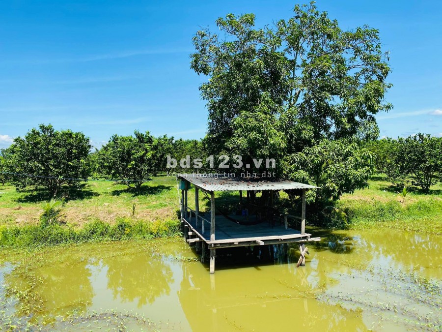 bán đất có thổ cư đường nhựa TL8 giáp Sông xã Khánh Đông giá rẻ