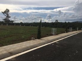 Đất nền đẹp thổ cư ngay trung tâm khu du lịch Dambri, La Vang, giá từ 4.5 triệu/m2