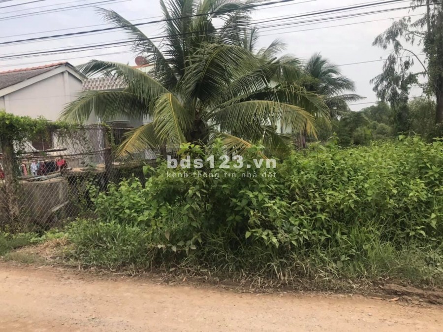 Bán đất full thổ Cần Đước Long An giá rẻ 1.6 tỷ, lh 0987863561