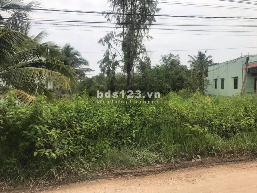 Bán đất full thổ Cần Đước Long An giá rẻ 1.6 tỷ, lh 0987863561