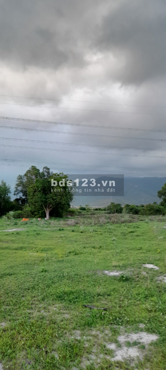 Bán đất vườn 5500m2 tại xã Hòa Minh, Tuy Phong, Bình Thuận