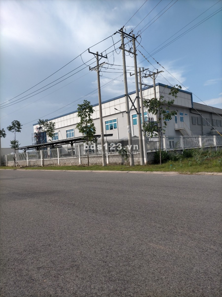 Chính chủ mùa dịch làm ăn thua lỗ tôi cần bán dãy nhà trọ 300m2, giá 1.3 tỷ
