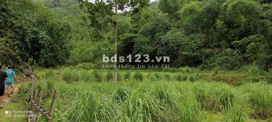 Vẻ đẹp hùng vĩ. 8ha đất RSX có thác tự nhiên tuyệt đẹp giá chỉ 3 tỷ