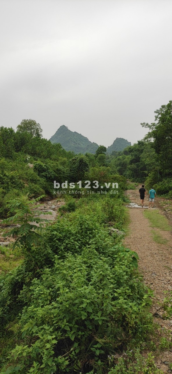 Vẻ đẹp hùng vĩ. 8ha đất RSX có thác tự nhiên tuyệt đẹp giá chỉ 3 tỷ