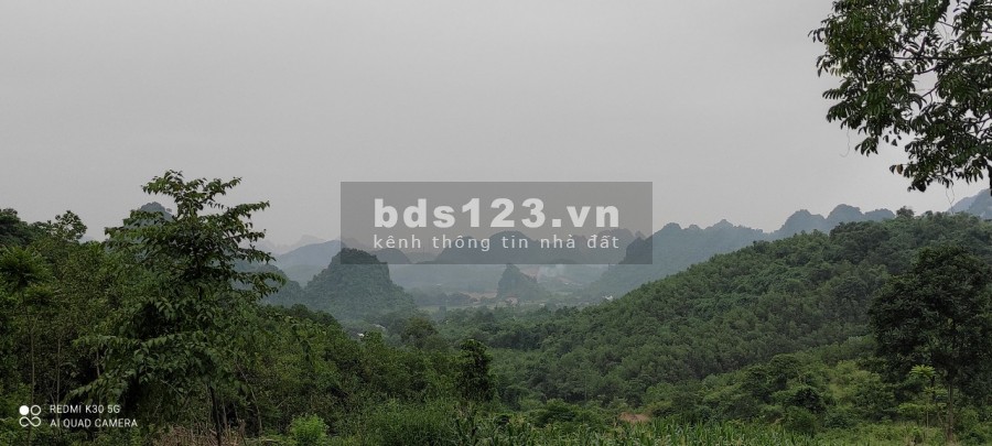 Vẻ đẹp hùng vĩ. 8ha đất RSX có thác tự nhiên tuyệt đẹp giá chỉ 3 tỷ